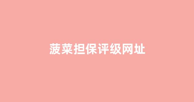 菠菜担保公司